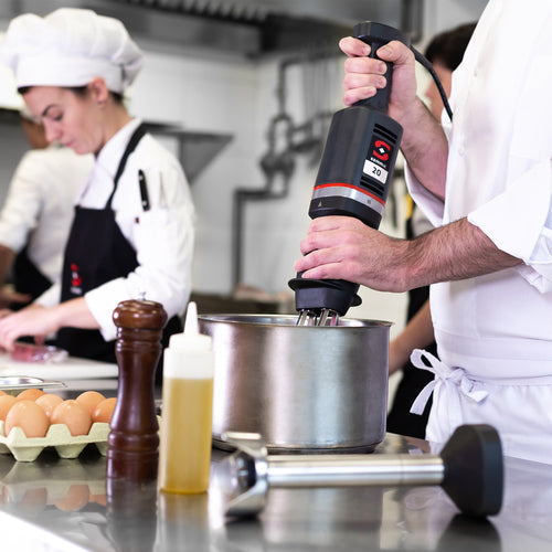 Sammic MB-21 Immersion Blender