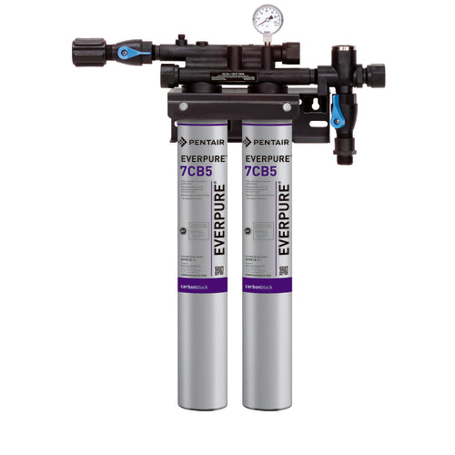Everpure EV979740 17 1/2" Water Filtration System