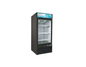 Entree EGD-1DF-12-SI-HC 25" Freezer Merchandiser