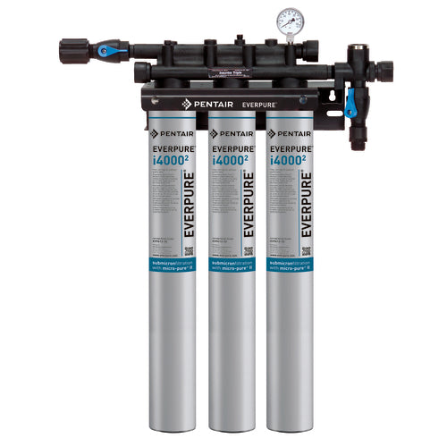 Everpure EV932503 21" Water Filtration System