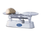 Edlund BDSS-16 19 3/4" Scale