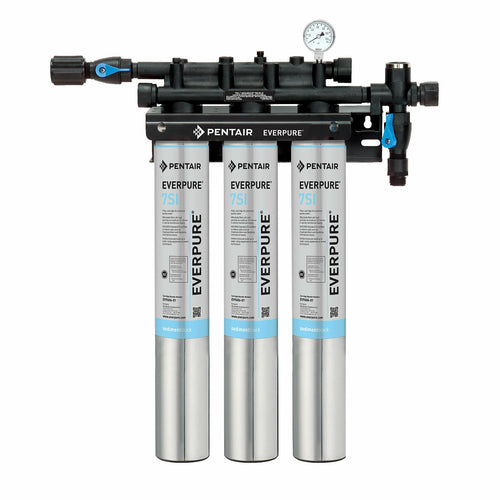 Everpure EV932474 21" Water Filtration System