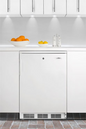 Summit FF6LWBI7 23 5/8" Solid Door Undercounter Refrigerator