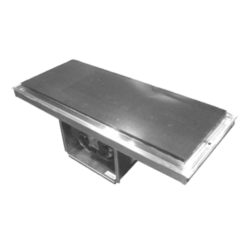 Delfield N8245GP 45 5/8" Drop-In Food Well