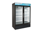 Entree EGD-2DF-48-SI-HC 54" Freezer Merchandiser